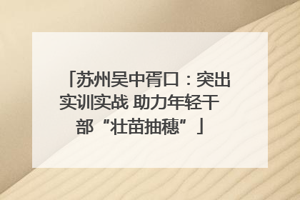 苏州吴中胥口：突出实训实战 助力年轻干部“壮苗抽穗”