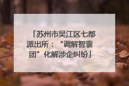 苏州市吴江区七都派出所：“调解智囊团”化解涉企纠纷