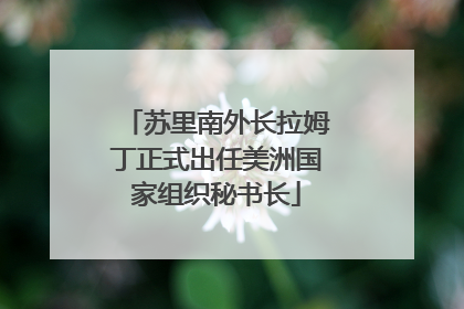 苏里南外长拉姆丁正式出任美洲国家组织秘书长
