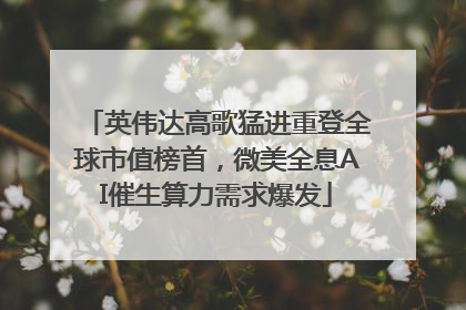 英伟达高歌猛进重登全球市值榜首，微美全息AI催生算力需求爆发