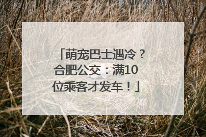 萌宠巴士遇冷？合肥公交：满10位乘客才发车！