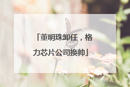 董明珠卸任，格力芯片公司换帅