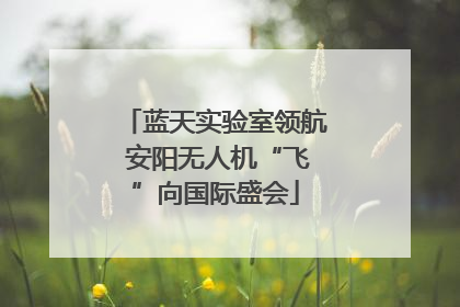 蓝天实验室领航 安阳无人机“飞”向国际盛会