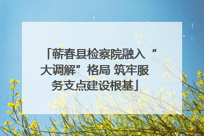 蕲春县检察院融入“大调解”格局 筑牢服务支点建设根基