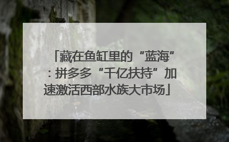 藏在鱼缸里的“蓝海”：拼多多“千亿扶持”加速激活西部水族大市场