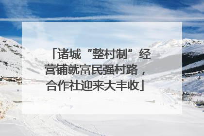 诸城“整村制”经营铺就富民强村路，合作社迎来大丰收