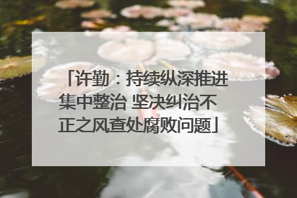 许勤：持续纵深推进集中整治 坚决纠治不正之风查处腐败问题