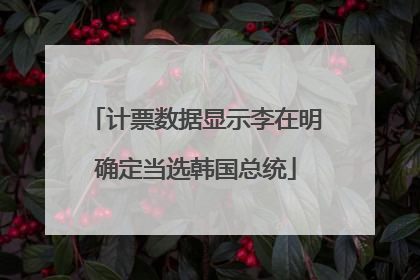 计票数据显示李在明确定当选韩国总统