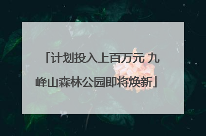 计划投入上百万元 九峰山森林公园即将焕新