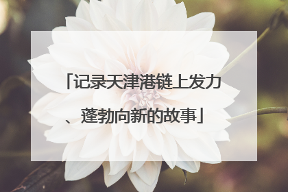 记录天津港链上发力、蓬勃向新的故事