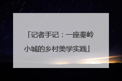 记者手记：一座秦岭小城的乡村美学实践
