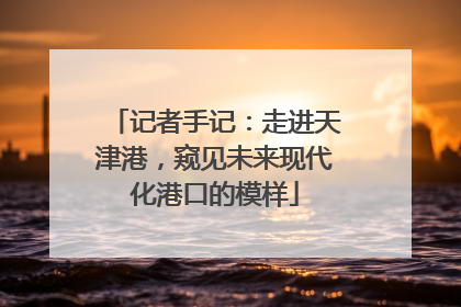 记者手记：走进天津港，窥见未来现代化港口的模样