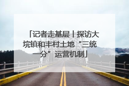 记者走基层丨探访大垸镇和丰村土地“三统一分”运营机制
