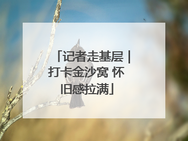 记者走基层｜打卡金沙窝 怀旧感拉满