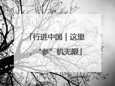 行进中国｜这里，“参”机无限