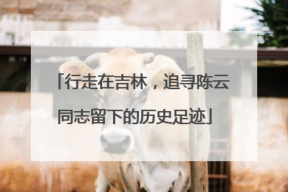 行走在吉林，追寻陈云同志留下的历史足迹