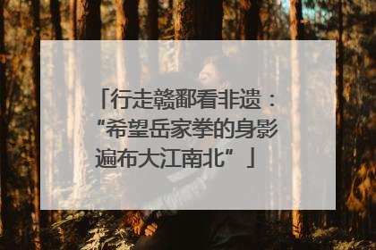 行走赣鄱看非遗：“希望岳家拳的身影遍布大江南北”