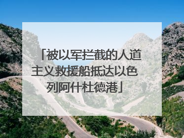 被以军拦截的人道主义救援船抵达以色列阿什杜德港
