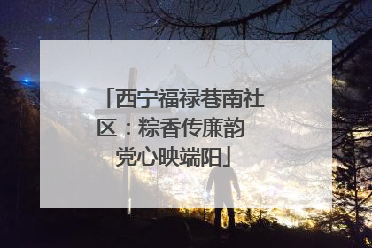 西宁福禄巷南社区：粽香传廉韵 党心映端阳