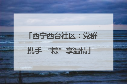 西宁西台社区：党群携手 “粽”享温情