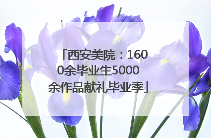 西安美院：1600余毕业生5000余作品献礼毕业季
