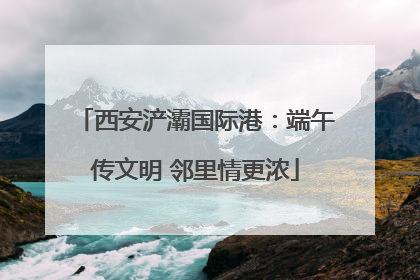 西安浐灞国际港：端午传文明 邻里情更浓