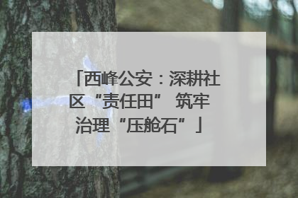 西峰公安：深耕社区“责任田” 筑牢治理“压舱石”