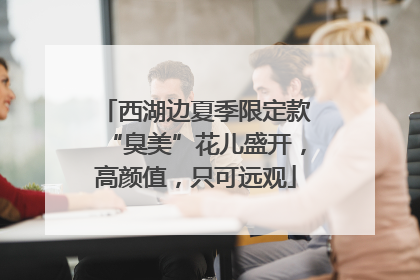西湖边夏季限定款“臭美”花儿盛开，高颜值，只可远观