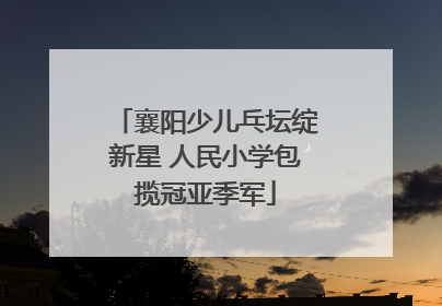 襄阳少儿乓坛绽新星 人民小学包揽冠亚季军