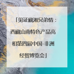 见证藏湘兄弟情：西藏山南特色产品亮相第四届中国-非洲经贸博览会