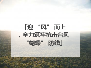 迎 “风” 而上，全力筑牢抗击台风 “蝴蝶” 防线