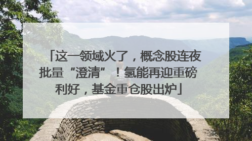 这一领域火了，概念股连夜批量“澄清”！氢能再迎重磅利好，基金重仓股出炉