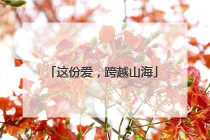 这份爱，跨越山海