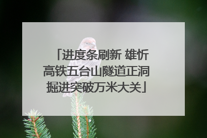 进度条刷新 雄忻高铁五台山隧道正洞掘进突破万米大关
