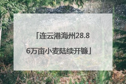 连云港海州28.86万亩小麦陆续开镰