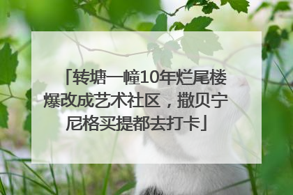 转塘一幢10年烂尾楼爆改成艺术社区，撒贝宁尼格买提都去打卡