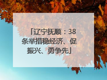 辽宁抚顺：38条举措稳经济、促振兴、勇争先