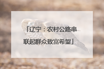 辽宁：农村公路串联起群众致富希望