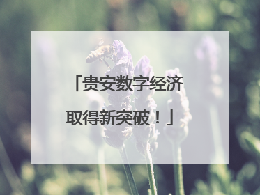贵安数字经济取得新突破！