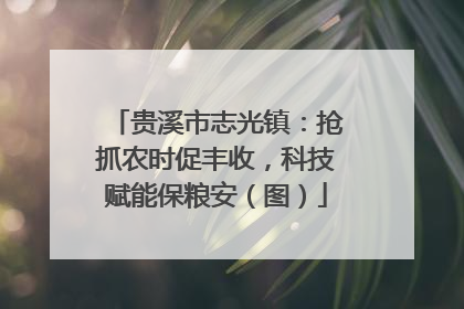 贵溪市志光镇：抢抓农时促丰收，科技赋能保粮安（图）