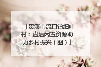 贵溪市流口镇细叶村：盘活闲置资源助力乡村振兴（图）