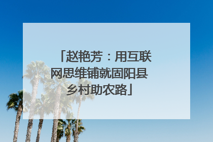 赵艳芳：用互联网思维铺就固阳县乡村助农路