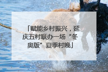 赋能乡村振兴，延庆五村联办一场“冬奥版”夏季村晚