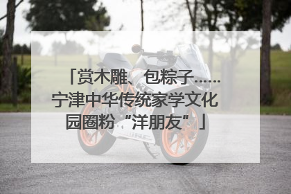 赏木雕、包粽子……宁津中华传统家学文化园圈粉“洋朋友”