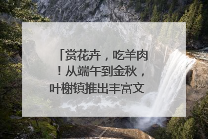 赏花卉，吃羊肉！从端午到金秋，叶榭镇推出丰富文旅活动邀您爽玩