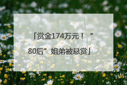赏金174万元！“80后”姐弟被悬赏