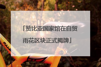 赞比亚国家馆在自贸雨花区块正式揭牌