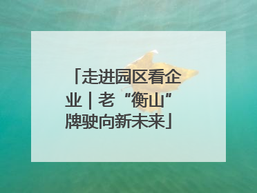 走进园区看企业｜老“衡山”牌驶向新未来