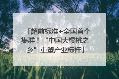 超前标准+全国首个集群！“中国大樱桃之乡”重塑产业标杆