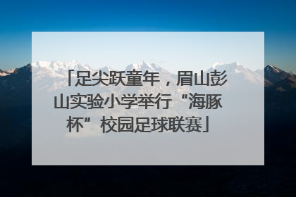 足尖跃童年，眉山彭山实验小学举行“海豚杯”校园足球联赛